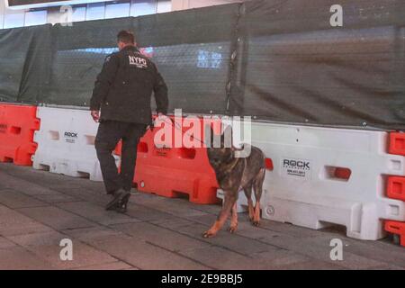 New York City USA Polizisten der NYPD benutzen einen Hund, um den Times Square nach Sprengstoffen zu durchsuchen. Stockfoto