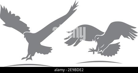 Adler Hawk Set Tier Symbol Kreativer Luxus modernes Maskottchen Emblem Vorlage Stock Vektor