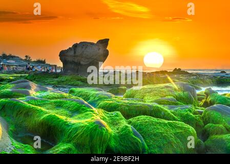 Seltsame Steine bedeckten Moos und Algen begrüßt Morgendämmerung schön neu Tag Stockfoto