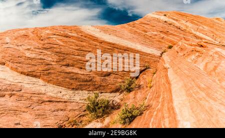 Der gestreifte Sandstein Slick Rock on Fire Wave, Valley of Fire State Park, Nevada, USA Stockfoto