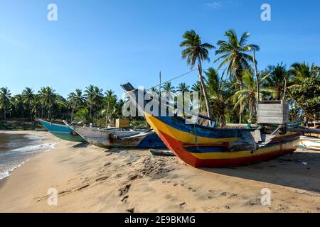 Ein Oruwa Outrigger Fischerboot liegt neben Katamaranen am Strand von Arugam Bay in Sri Lanka am frühen Morgen. Stockfoto