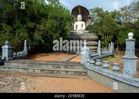 Die wunderschön gestaltete Buddha-Statue mit Cobra Regenschirm im Dorf Pidurangala in der Nähe von Sigiriya in Zentral-Sri Lanka. Der Kobras-Körper bildet die Basis. Stockfoto