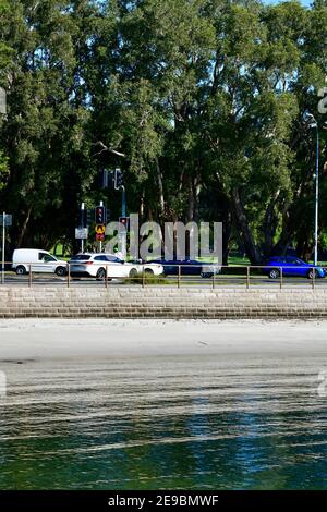 Blick auf Rose Bay in Sydney, Australien Stockfoto