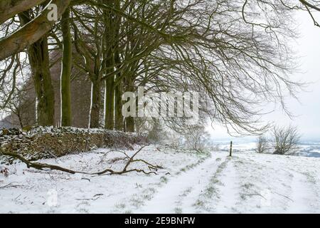 Cotswold Weg im januar Schnee. Lower Coscombe, Cotswolds, Gloucestershire, England Stockfoto