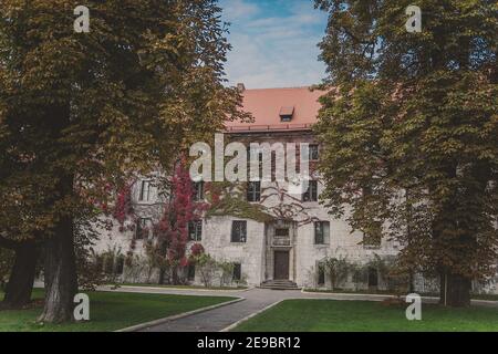 Altes Backsteinhaus mit Wänden, die von Grün und Rot bedeckt sind ivy Stockfoto