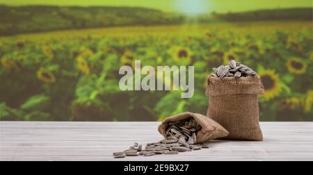 Sonnenblumenkerne in Leinenbeutel, Sonnenblumenkerne Farm im Hintergrund,. Sonnenblumenkerne auf dem Tisch Stockfoto