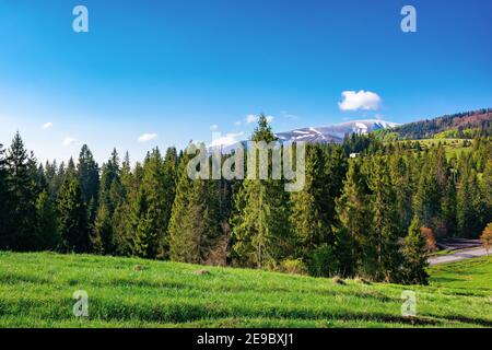 Landschaft am Morgen. Schöne Berglandschaft im Frühling. Sonniges Wetter mit flauschigen Wolken. Schnee auf dem Gipfel in der Ferne Stockfoto