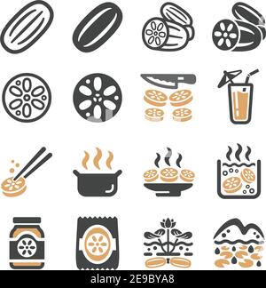 lotus Root Icon Set, Vektor und Illustration Stock Vektor