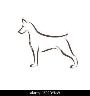 Vektor von doberman pinscher Hund Design auf weißem Hintergrund. Leicht editierbare Vektorgrafik mit Ebenen. Haustier. Tiere. Stock Vektor