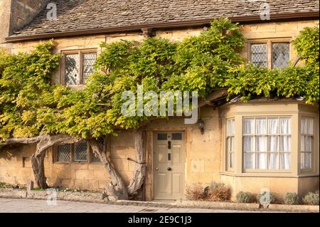 BROADWAY, WORCESTERSHIRE, Großbritannien - 31. OKTOBER 2009: Außenansicht eines hübschen Cottage mit Kletterpflanzen an den Wänden Stockfoto