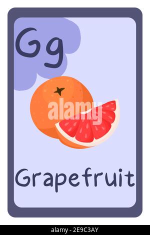 ABC-Bildungskarte im Cartoon-Stil auf buntem Hintergrund, Buchstabe G - Grapefruit. Vektorgrafik Alphabet. Stock Vektor