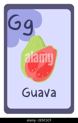 ABC-Bildungskarte im Cartoon-Stil auf buntem Hintergrund, Buchstabe G - Guava. Vektorgrafik Alphabet. Stock Vektor