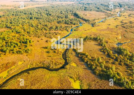 Luftaufnahme Green Forest Woods Und Flusslandschaft Im Sonnigen Sommertag. Top Blick Auf Die Schöne Europäische Natur Von High Attitude In Der Sommersaison Stockfoto