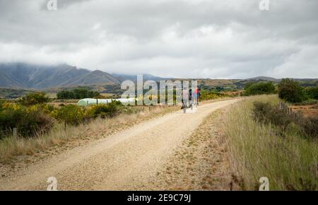 Drei Personen radeln auf dem Otago Central Rail Trail auf dem Land, Südinsel, Neuseeland Stockfoto