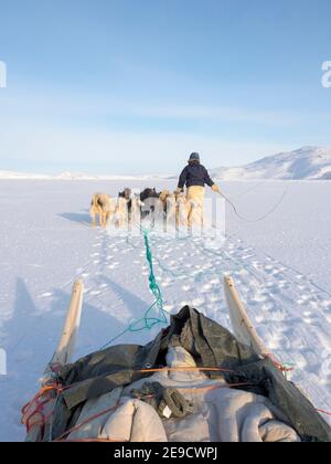 Schlittenhunde werden durch schwieriges Gelände geführt. Inuit Jäger trägt traditionelle Hosen und Stiefel aus Eisbärenfell auf dem Meereis der Mel Stockfoto