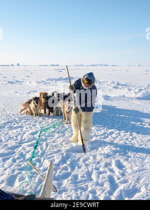 Inuit Jäger trägt traditionelle Hosen und Stiefel aus Polar Bärenfell macht sein Lager auf dem Meereis Der Melville Bay in der Nähe von Kullorsuaq Stockfoto