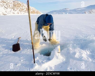 Eine Robbe aus einer Falle unter dem Meereis ernten. Inuit Jäger trägt traditionelle Hosen und Stiefel aus Eisbären Fell, Melville Bay in der Nähe Stockfoto
