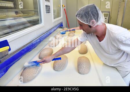 Arbeiter in einer Großbäckerei - Industrieproduktion von Backwaren auf einer Fließstrecke Stockfoto