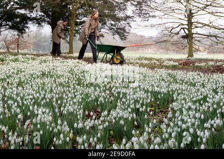 Gärtner machen sich im Audley End House and Gardens von English