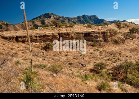 Atascosa Mountains in Sonoran Desert von der Ruby Road in der Nähe der mexikanischen Grenze und Geisterstadt Ruby, Arizona, USA Stockfoto