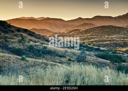 Pajarito Mountains in Pajarita Wilderness Area, Sonoran Desert bei Sonnenaufgang von der Ruby Road in der Nähe der mexikanischen Grenze und Geisterstadt Ruby, Arizona, USA Stockfoto