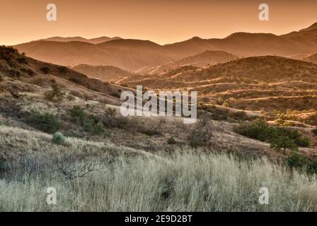 Pajarito Mountains in Pajarita Wilderness Area, Sonoran Desert bei Sonnenaufgang von der Ruby Road in der Nähe der mexikanischen Grenze und Geisterstadt Ruby, Arizona, USA Stockfoto