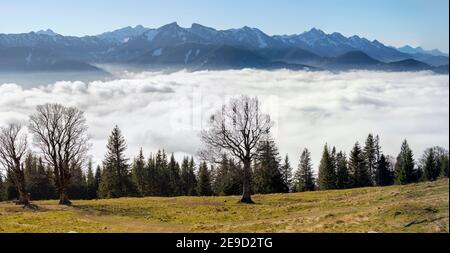 Blick vom Hoernle über ein Nebelmeer, das das Ammertal in Richtung Füssen versteckt. Bayerische alpen bei Unterammergau im Werdenfelser Land Stockfoto