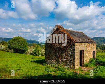 Alte Steinscheune in einem Feld in der Nähe von Oaker in der Derbyshire Dales Gebiet des Peak District National Park England VEREINIGTES KÖNIGREICH Stockfoto