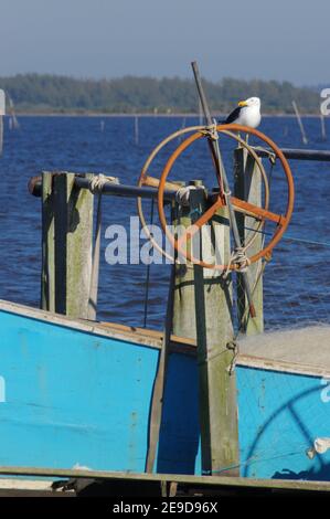 Schöne Aufnahme einer Möwe auf einem Fischerboot An der Küste Stockfoto