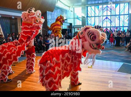 Wellington. Februar 2021, 1st. Eine große Gala findet am 1. Februar 2021 im Neuseeland National Museum in Wellington, Neuseeland, statt, um den 15th. Jahrestag der Städtepartnerschaft zwischen dem chinesischen Peking und Wellington zu feiern. Kredit: Guo Lei/Xinhua/Alamy Live Nachrichten Stockfoto