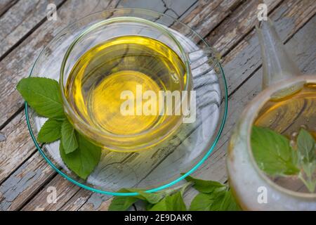 Wildwasser-Minze, Wasserminze, Pferdeminze (Mentha aquatica), selbstgemachtes Tee aus Wasserminze, Deutschland Stockfoto