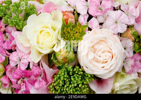 Blumen Gürtel mit Rosen und Nelken Stockfoto