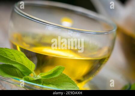 Wildwasser-Minze, Wasserminze, Pferdeminze (Mentha aquatica), selbstgemachtes Tee aus Wasserminze, Deutschland Stockfoto