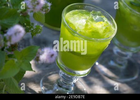 Wildwasser-Minze, Wasserminze, Pferdeminze (Mentha aquatica), selbstgemachte Limonade aus Wasserminze, Deutschland Stockfoto
