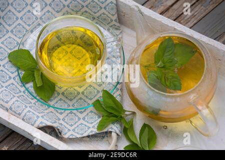 Wildwasser-Minze, Wasserminze, Pferdeminze (Mentha aquatica), selbstgemachtes Tee aus Wasserminze, Deutschland Stockfoto