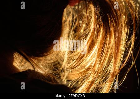 Nahaufnahme von Sonnenlicht, das durch das hellbraune Haar eines jungen Mädchens Pferdeschwanz scheint. Stockfoto