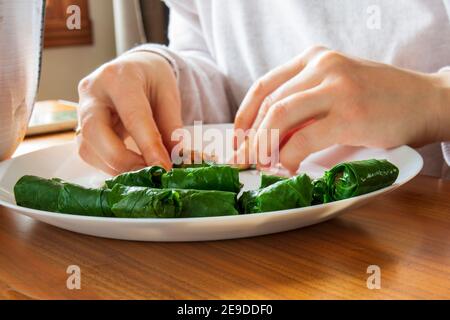 Collard Greens gefüllt. Collard Greens gefüllt mit Fleisch und Reis, traditionelle türkische Küche. Schwarzkohl Rollen Stockfoto