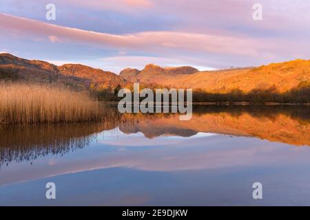 Gespiegelte Spiegelungen in einem ruhigen See mit goldenem Licht vom Sonnenaufgang auf Berggipfeln. Elterwater, Lake District, Großbritannien. Stockfoto