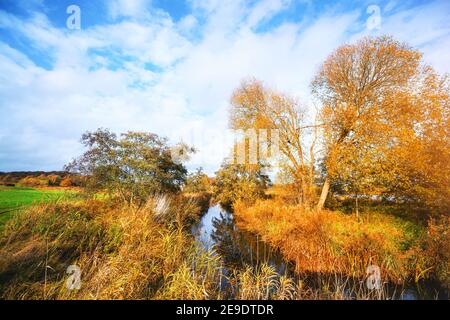 Kleiner Bach in einer ländlichen Herbstlandschaft in goldenen Farben Im Herbst Stockfoto