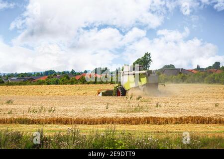 Harvester in der Nähe der Stadt auf einem goldenen Feld. Staub fliegt im Sommer hinter einer Landmaschine in der Luft. Stockfoto