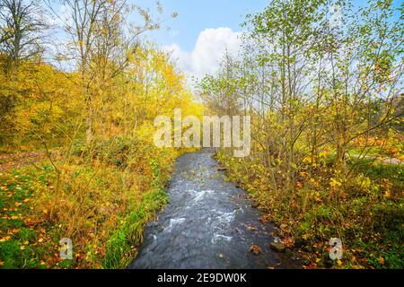 Herbstlandschaft mit einem Flusslauf durch eine bunte Wald im Herbst Stockfoto
