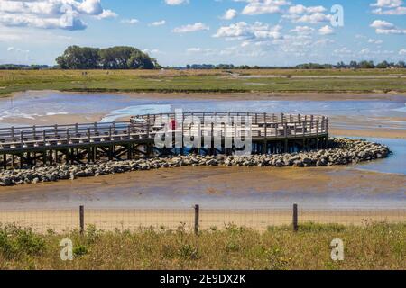 Het Zwin, Naturpark und Vogelschutzgebiet an der Grenze zwischen Knokke-Heist und Cadzand, Niederlande, Europa. Foto V.D. Stockfoto