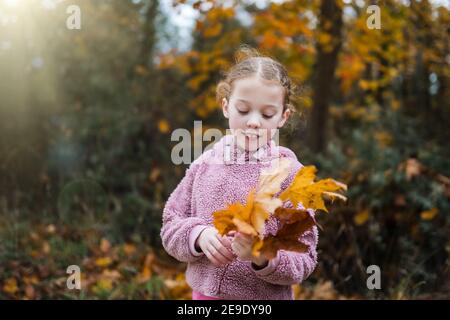 Schöne junge Mädchen rosa Kapuzenpullover Sonne Strahlen glänzend halten viele Orange Blätter erkunden Waldnaturreservat während der Herbstsaison umgeben Bäume Stockfoto