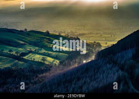 Glühende grüne Felder mit langen Schatten von Bäumen, Llangwyfan, Penycloddiau. Stockfoto