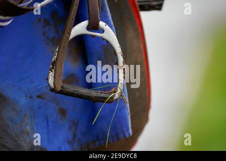 Ein nasser und schlammiger Tag auf der Wincanton Racecourse. Bilddatum: Montag, 4. Februar 2021. Stockfoto