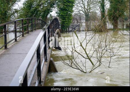 Sonning, Berkshire, Großbritannien. 4th. Februar 2021. Nach heftigen Regenfällen in den letzten Tagen ist die Themse am Sonning in Berkshire in die Ufer geplatzt. Ein Hochwasser-Warnhinweis ist vorhanden und tief liegende Straßen, Wege und Felder sind überflutet. Obwohl die B478 über die Sonning Bridge wegen der Überschwemmungen geschlossen ist, ignorierten die Fahrer die Straßensperrschilder. Quelle: Maureen McLean/Alamy Live News Stockfoto