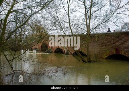 Sonning, Berkshire, Großbritannien. 4th. Februar 2021. Nach heftigen Regenfällen in den letzten Tagen ist die Themse am Sonning in Berkshire in die Ufer geplatzt. Ein Hochwasser-Warnhinweis ist vorhanden und tief liegende Straßen, Wege und Felder sind überflutet. Obwohl die B478 über die Sonning Bridge wegen der Überschwemmungen geschlossen ist, ignorierten die Fahrer die Straßensperrschilder. Quelle: Maureen McLean/Alamy Live News Stockfoto