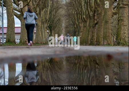 04. Februar 2021, Rheinland-Pfalz, Zweibrücken: Menschen wandern in der Gestütallee Zweibrücken. Die Stadt hat derzeit die niedrigste Inzidenz von Corona. Foto: Oliver Dietze/dpa Stockfoto