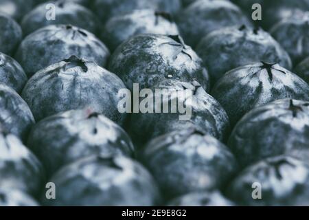 Ein Vollformat Food Fruit Hintergrund einer Nahaufnahme von frischen, reifen Heidelbeeren zusammen mit Copy-Raum verpackt Stockfoto