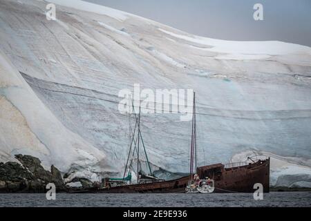 Gouvernorener Schiffswrack, Foyn Harbour, Antarktis Stockfoto